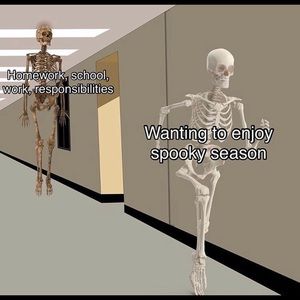 Meet your Posher, Audrey